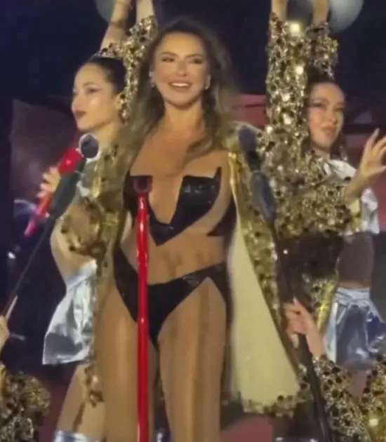 女歌手演唱会表演被批 反驳：这是艺术！